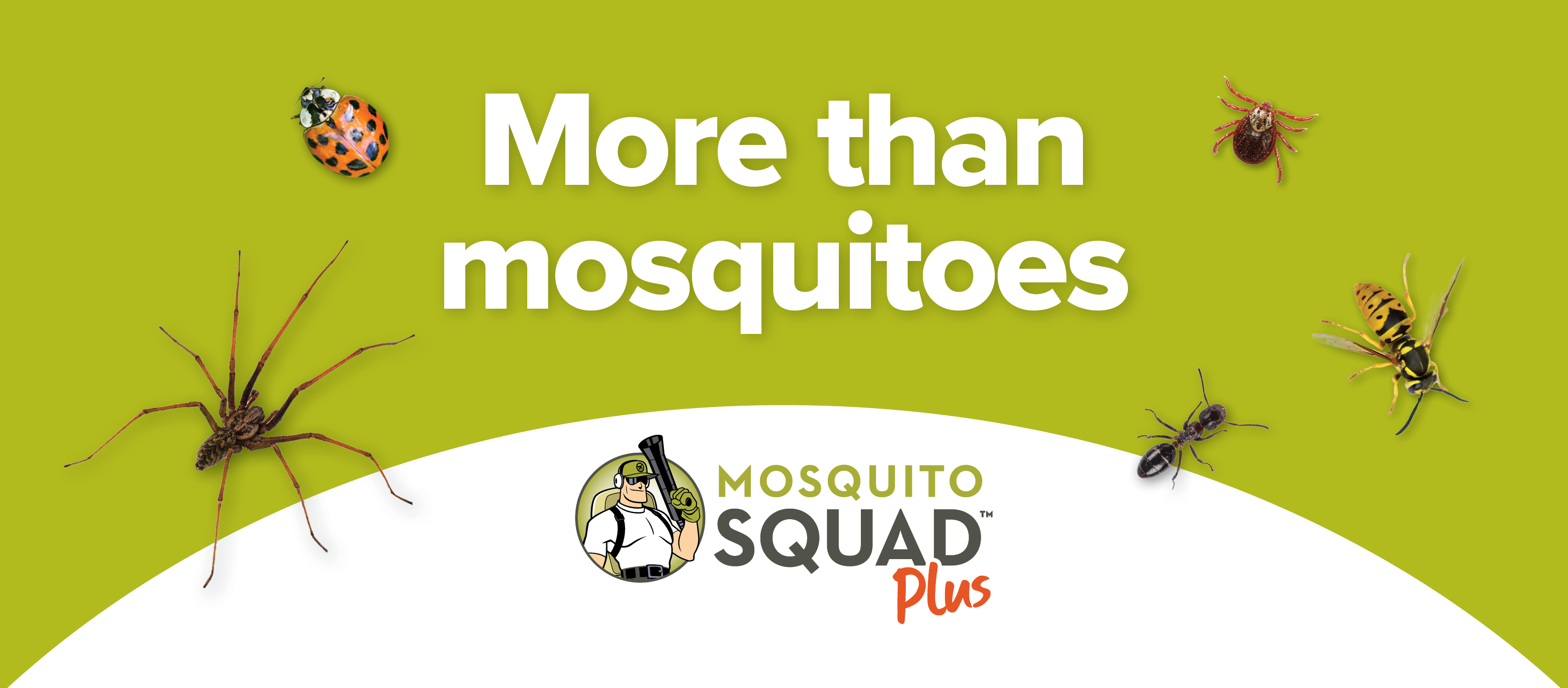 Mosquito Squad Plus